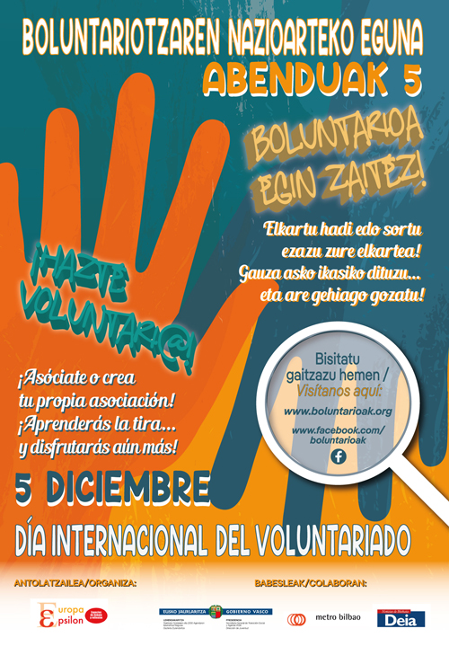 Cartel Voluntariado